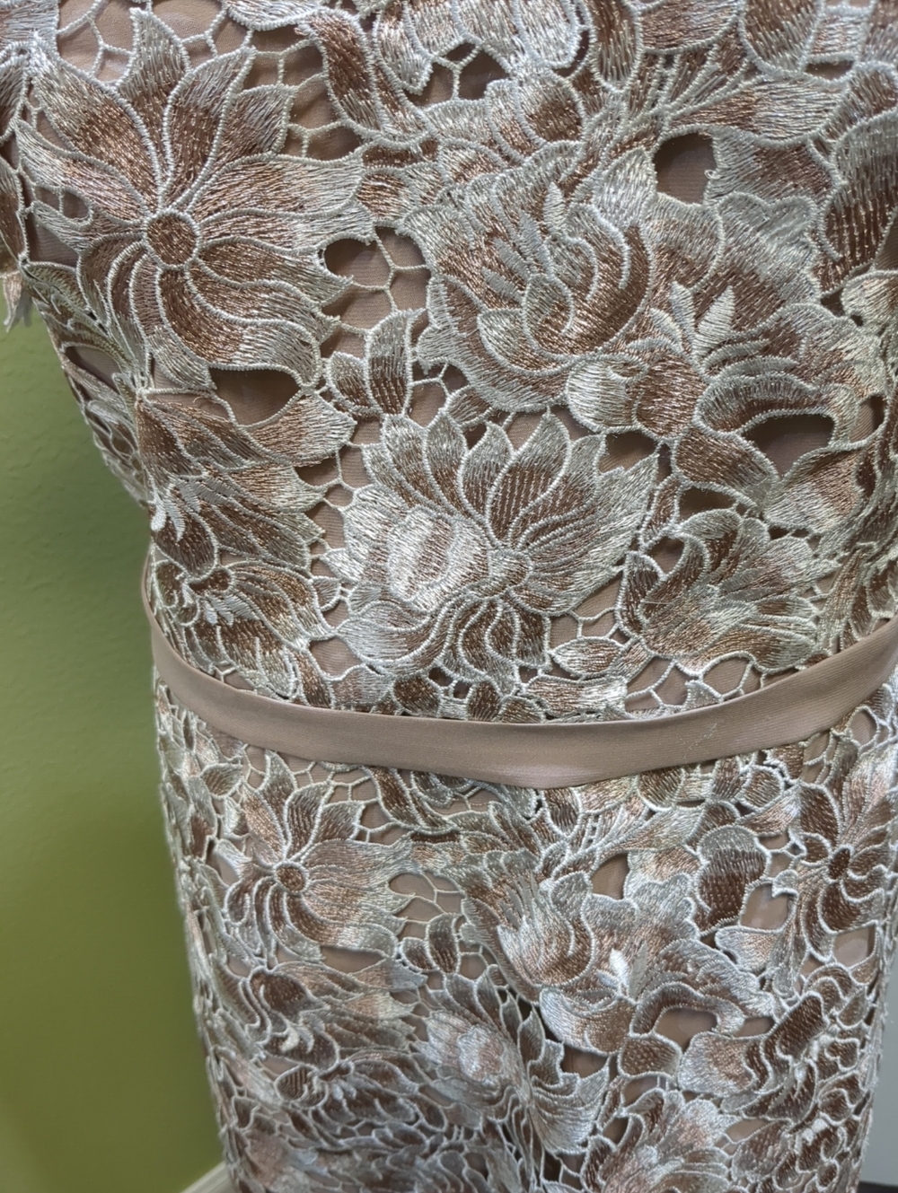 0406 BHLDN JS Collection Rayes Blush Floral Lace Short-Sleeve Formal   Dress - Picture 4 of 7
